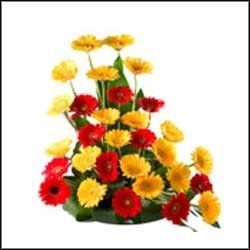 Charming Yellow & Red Flowers