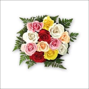 Multi Colored Roses
