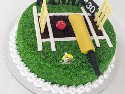 Cricketer Cake 1