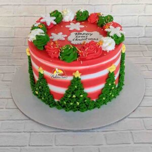 A Semi Christmas Cake