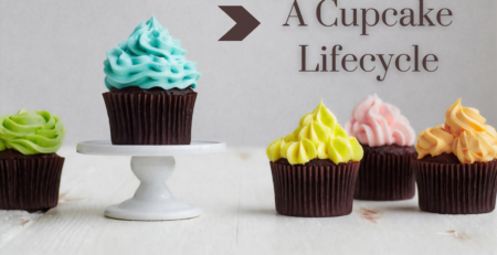 A Cupcake Lifecycle