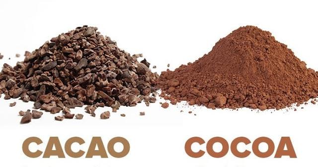 Cocoa and Cacao – Know the Difference
