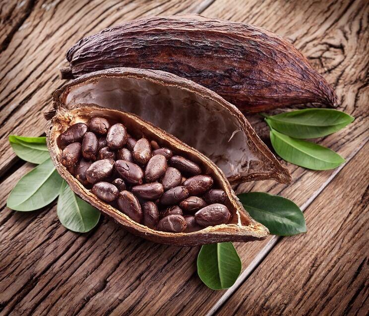 It Takes Time for Cacao Beans to Grow